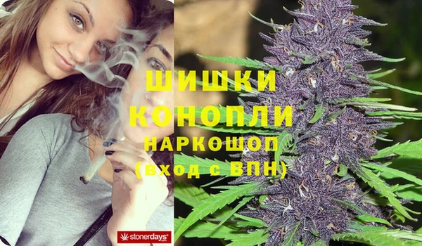 круглые Белокуриха