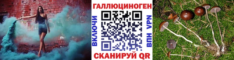 Псилоцибиновые грибы Psilocybine cubensis  мега как войти  Бологое 